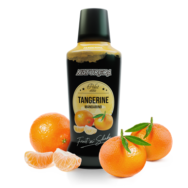 Fruit N Shake Tangerine Puree Polot 1882 750ml